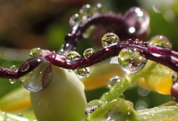 P1134863b.jpg
